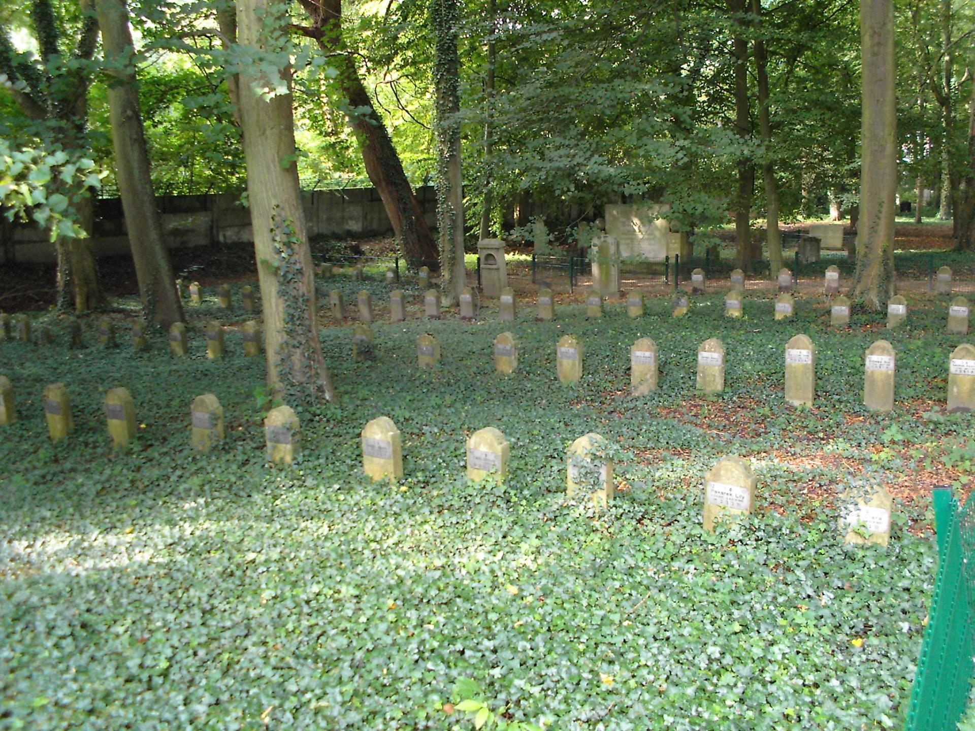 Jüdischer Friedhof Moisling