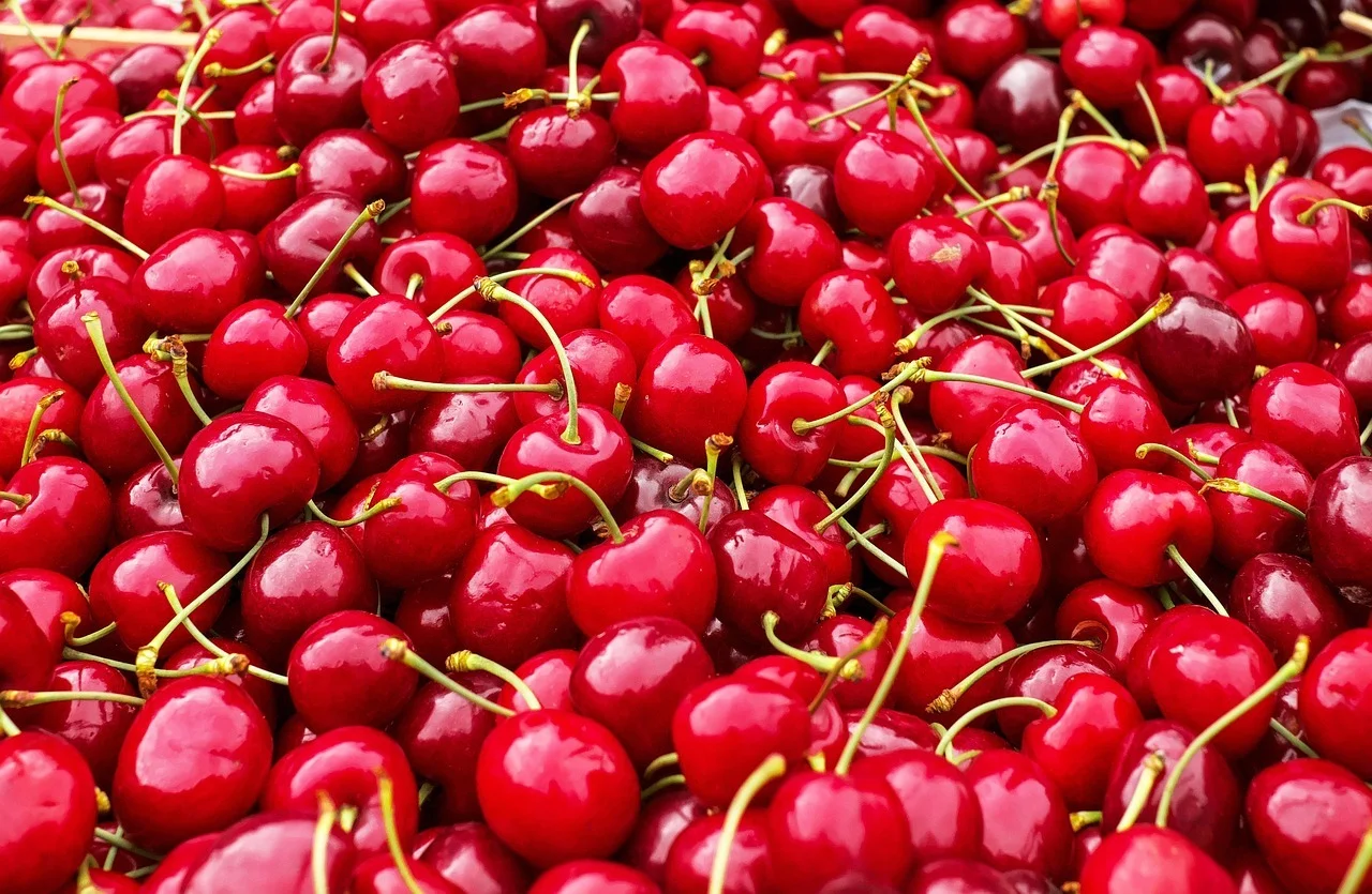 couleur-cherries-1465801_1280