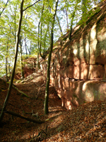 Dreis 3 Keltenburg