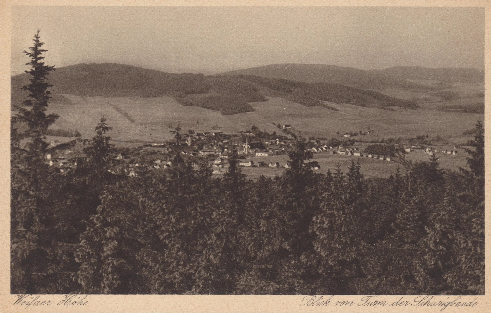 Blick von der Schurigbaude (ca. 1930, E. Wagner Söhne, Zittau)