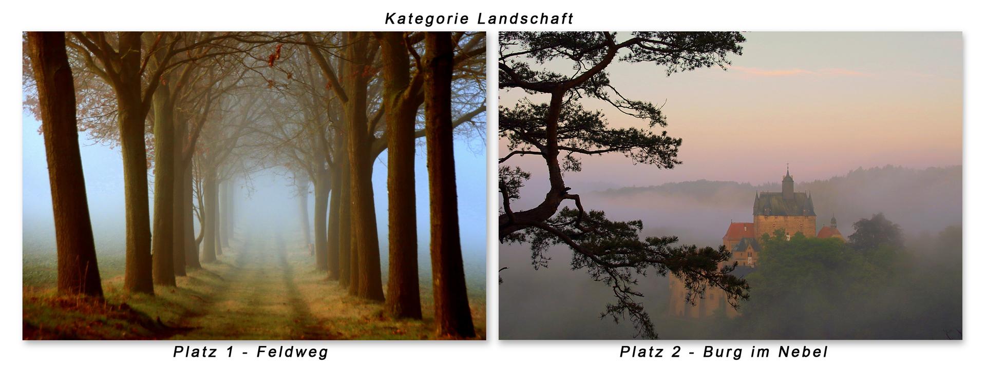 ps-Kat-Landschaft