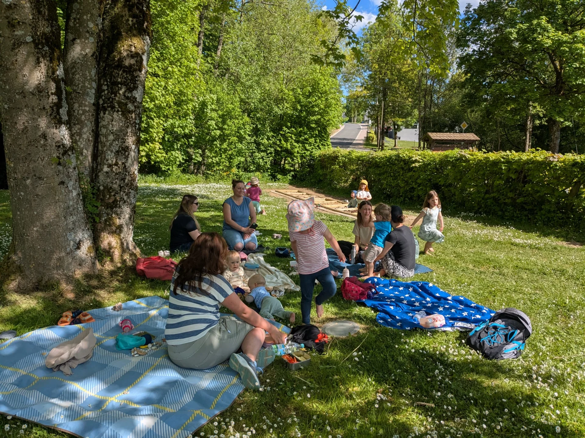 Bild1