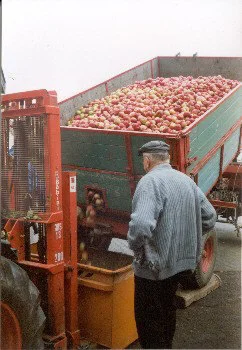 aepfel_laden