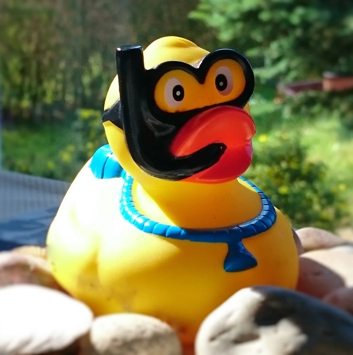 Schöne Ferien