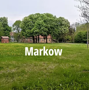 Markow