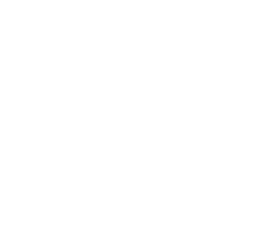 Herz icon
