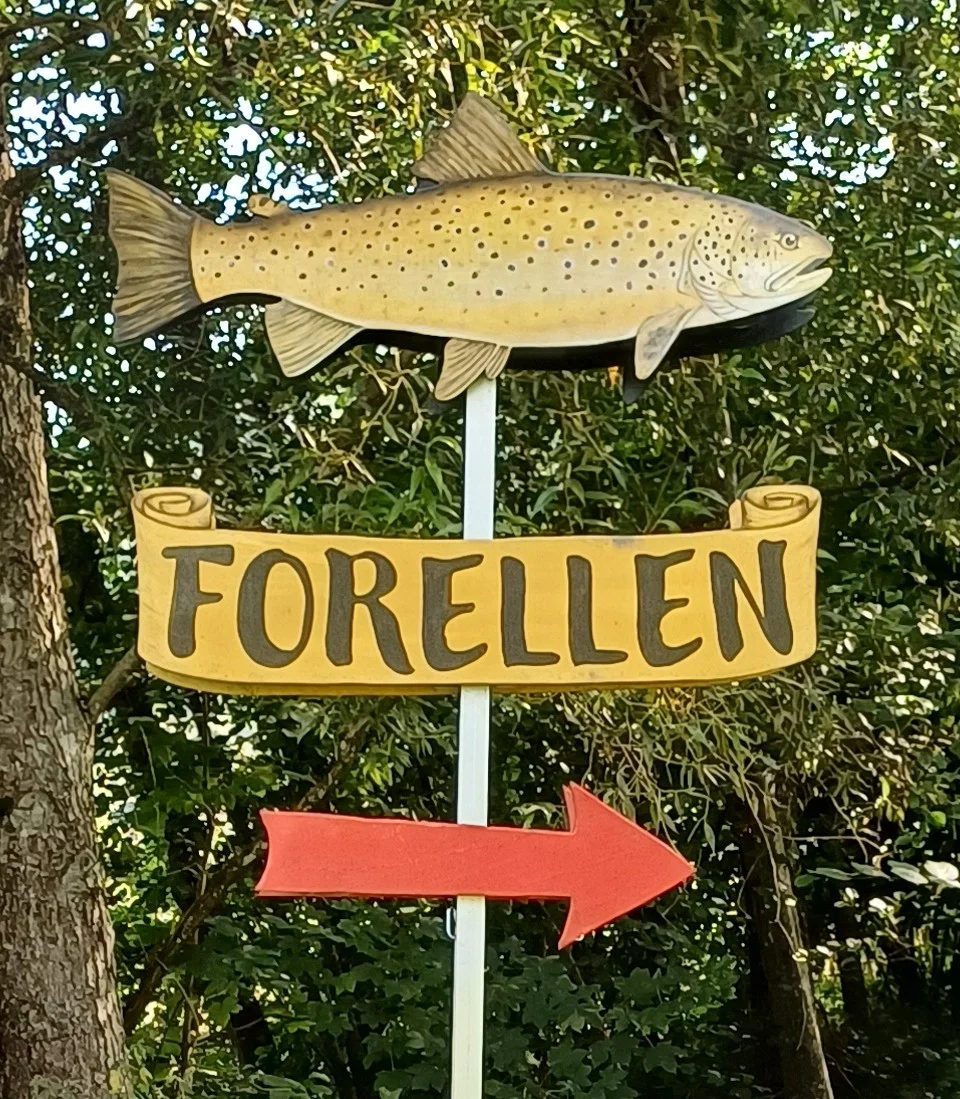 Forellen