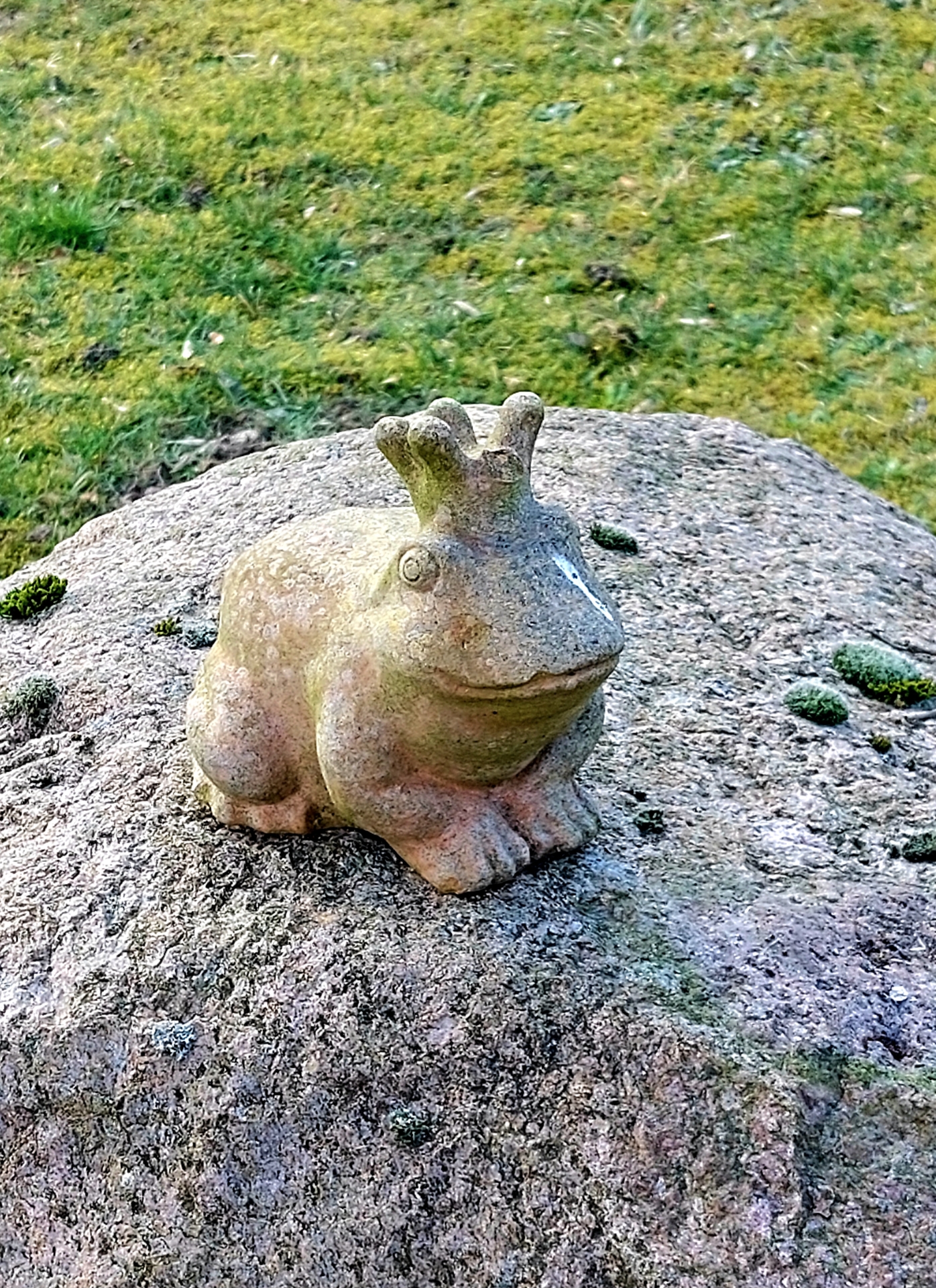 Frosch