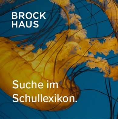 Brockhaus - Suche im Schullexikon