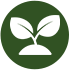 logobild-platzhalter-die-land-gaertnerei-popp