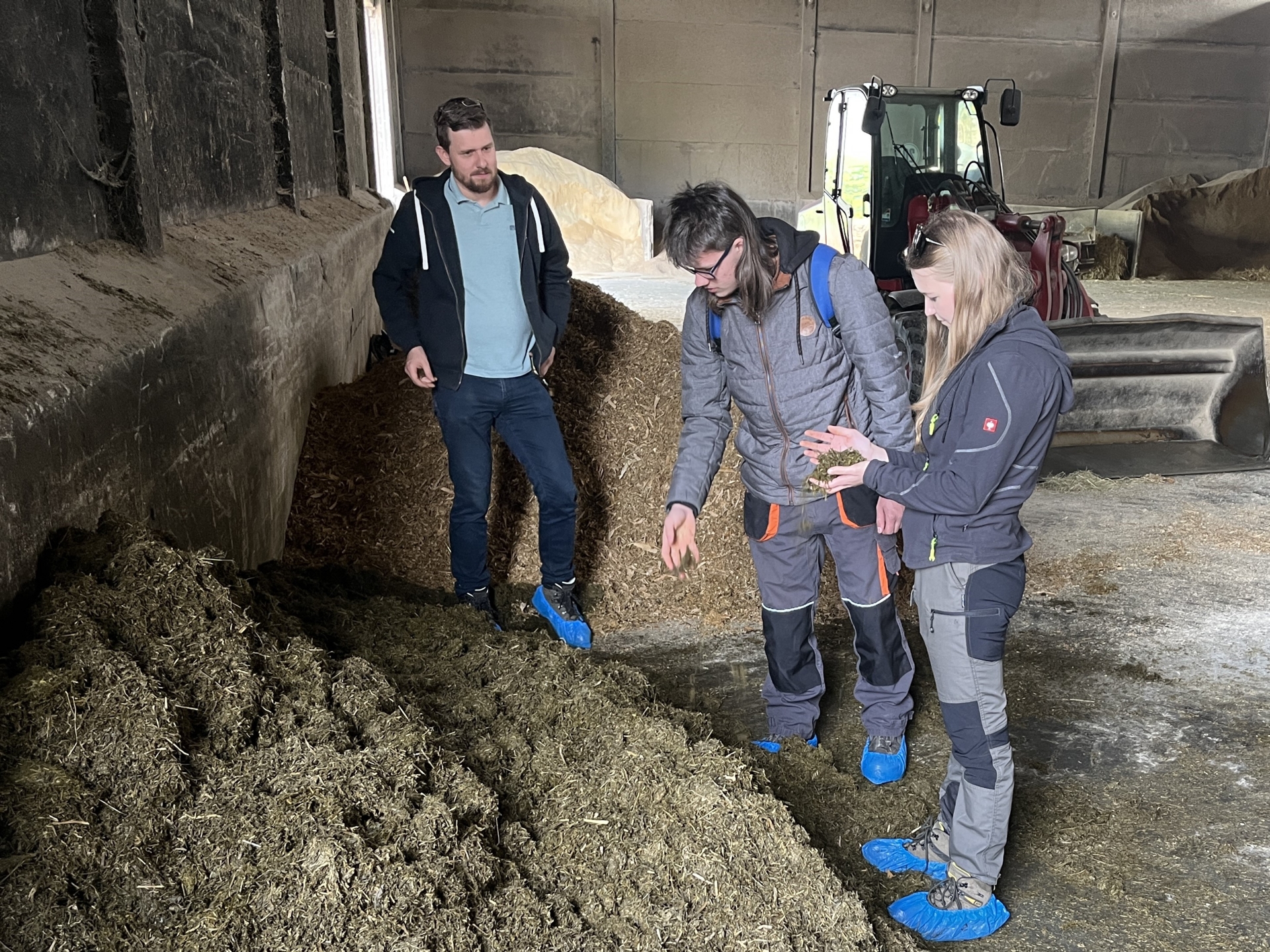 Silage