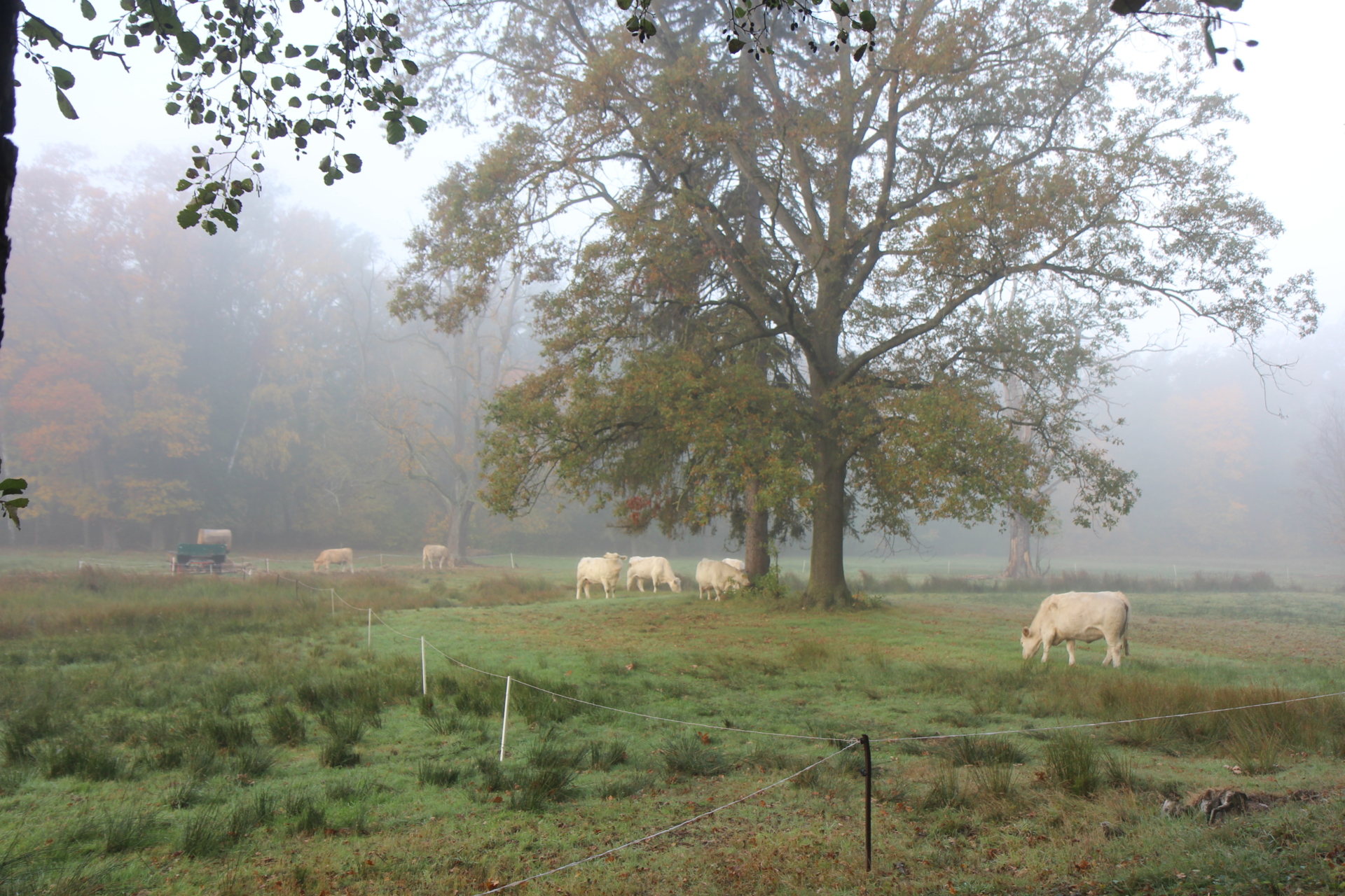 Goldener Oktober in der Lausitz