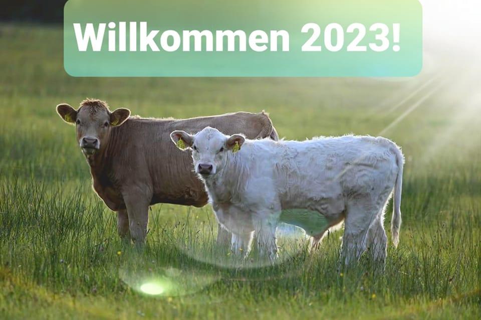 Willkommen 2023 - Mutterkühe Dürrenhofe