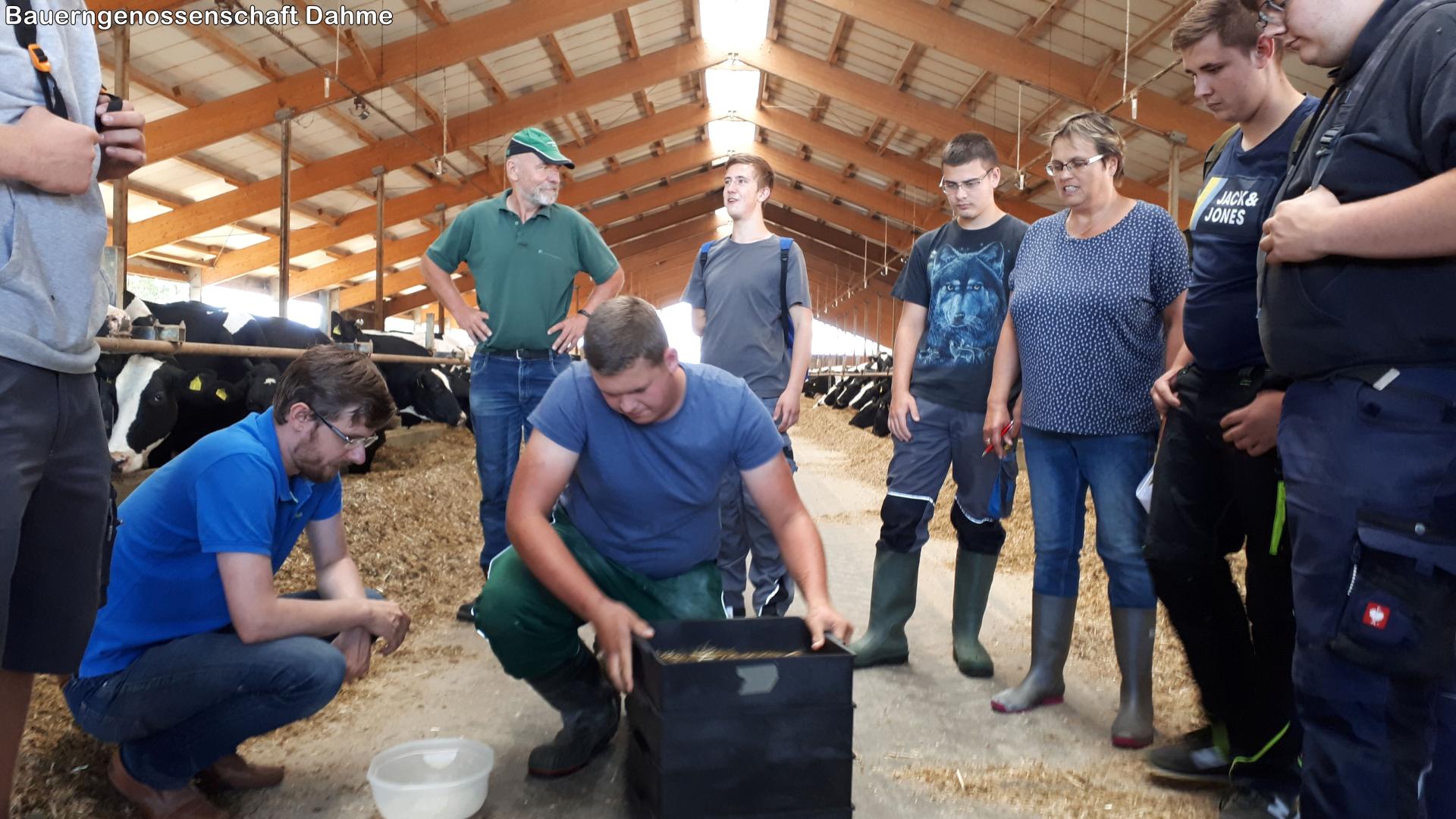 Lehrunterweisung Milchviehfütterung in Dahme
