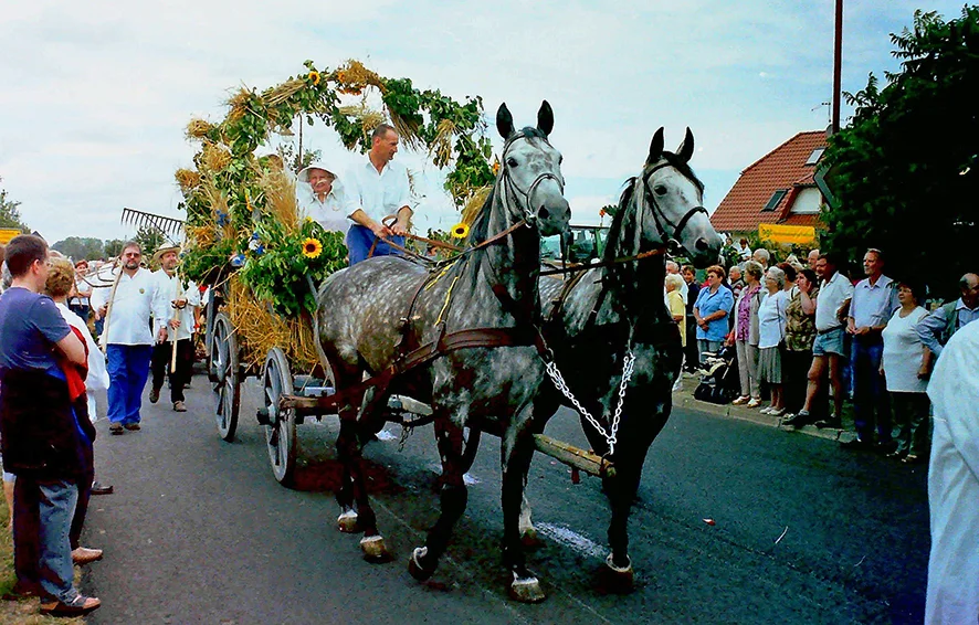 Festumzug zum 4. Kreiserntefest 2004, geschmückter Festumzugswagen mit Pferdegespann