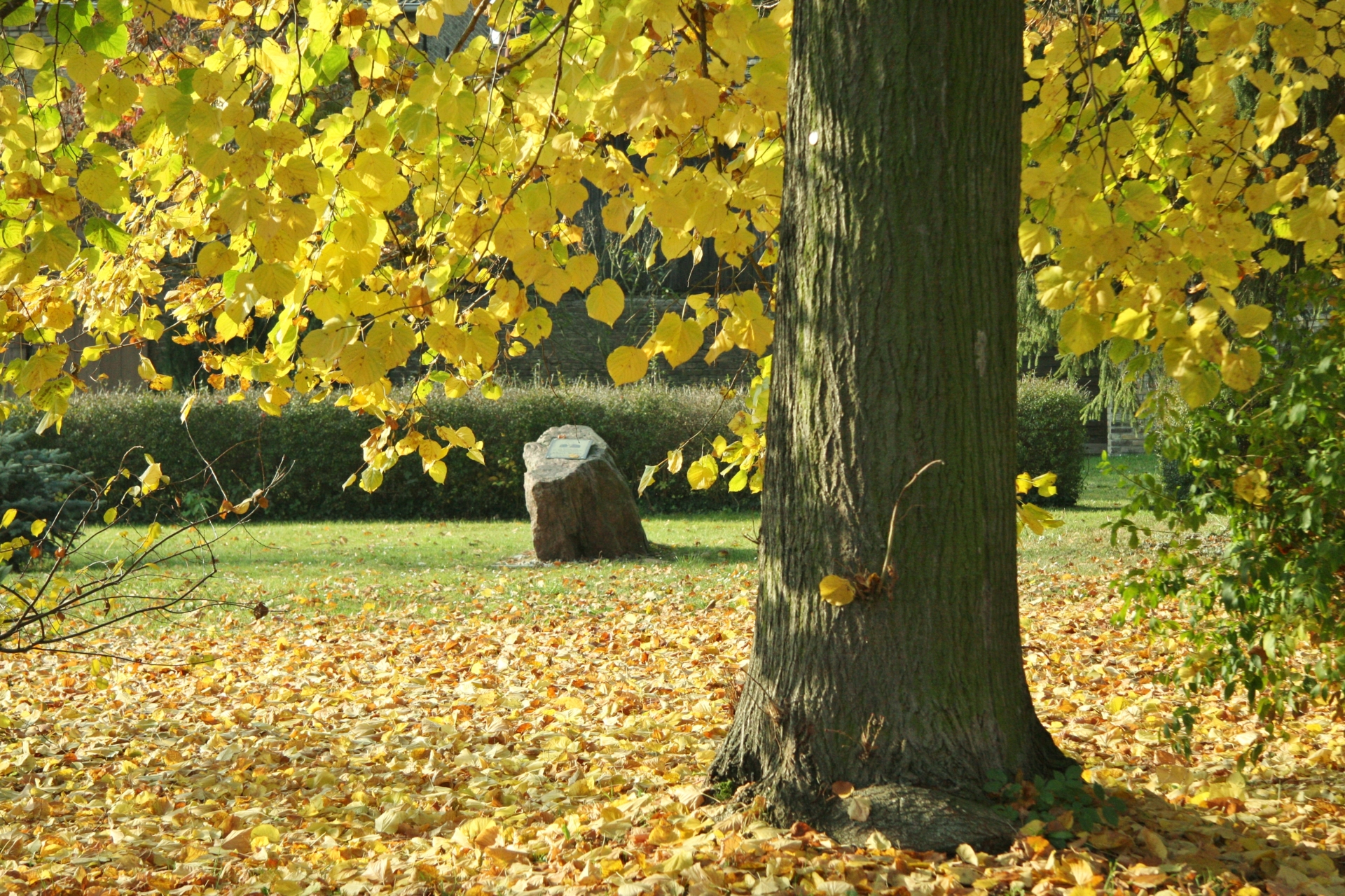 Herbststimmung im Rundling mit Gedenkstein