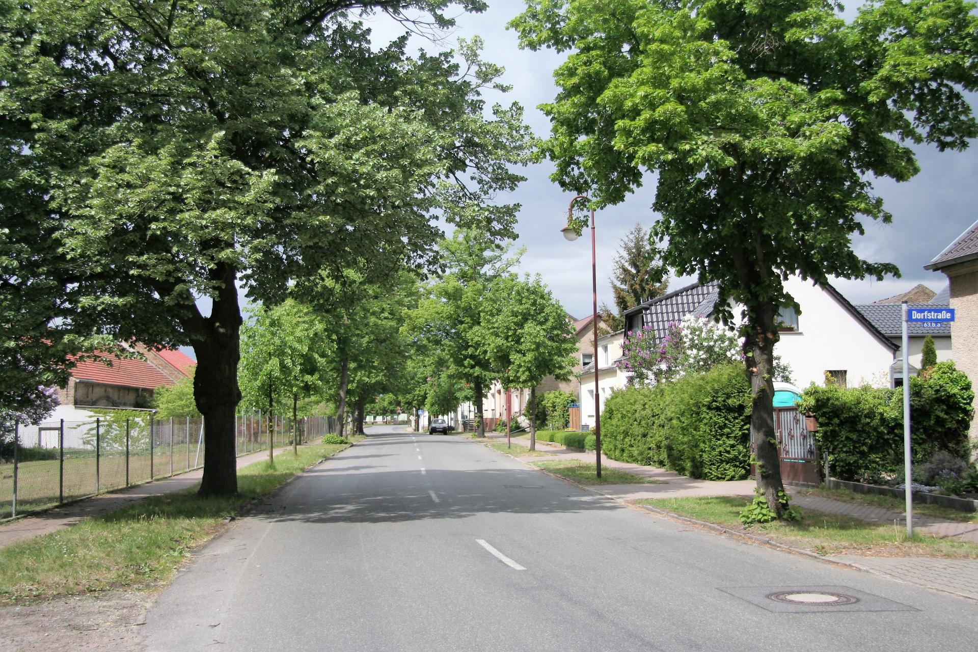 Die Lüdersdorfer Dorfstraße in Richtung Eichenhof