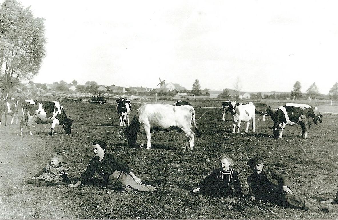 Familie Henkel, ländliche Idylle mit Kühen