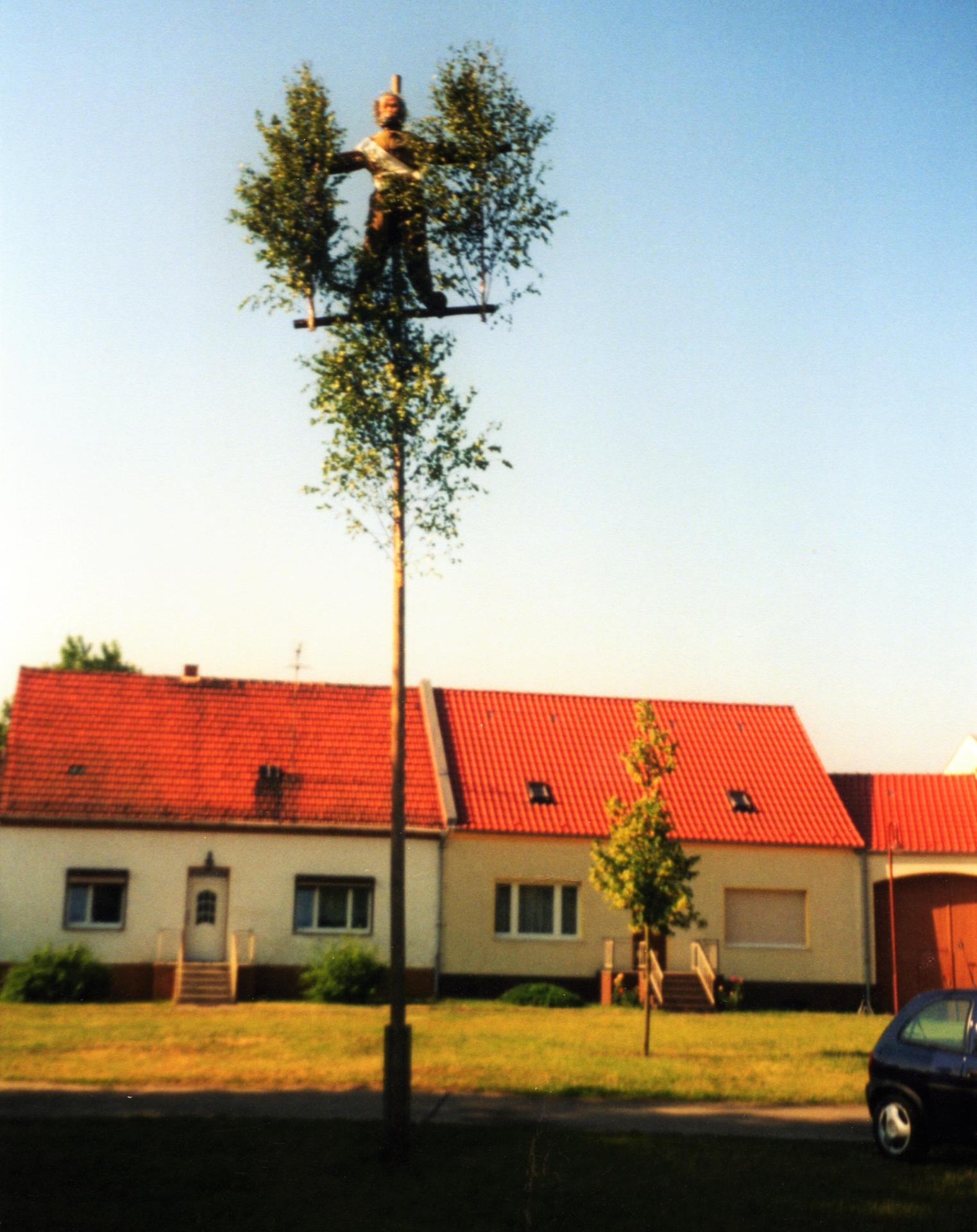 Der geschmückte Pfingstochse um 2000