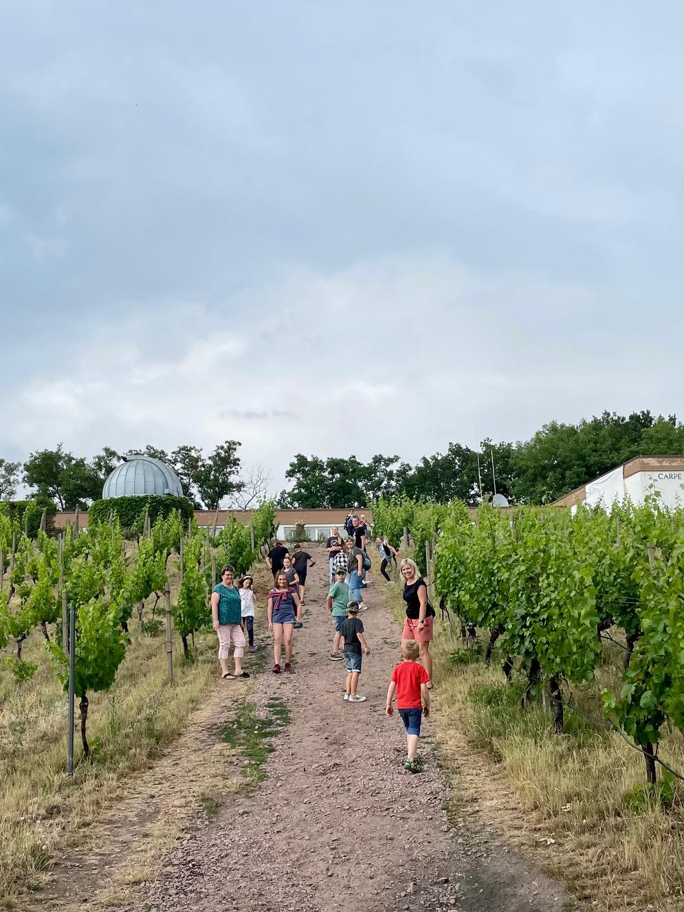 Bilder vom Ausflug