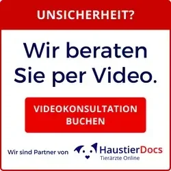 Haustierdoc