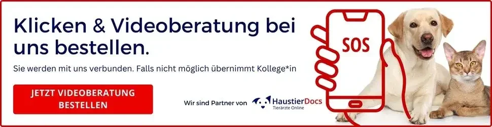 Videoberatung