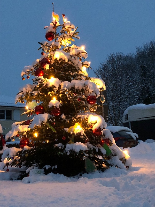 Advent in Schmalensee - Weihnachtsbaum am Bolzplatz - Foto Ute Mühlenberg