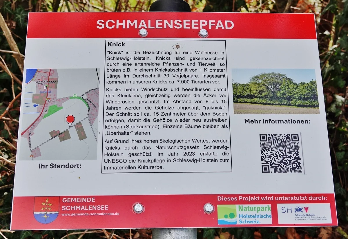 Die Knicks prägen das Landschaftsbild Schmalensees