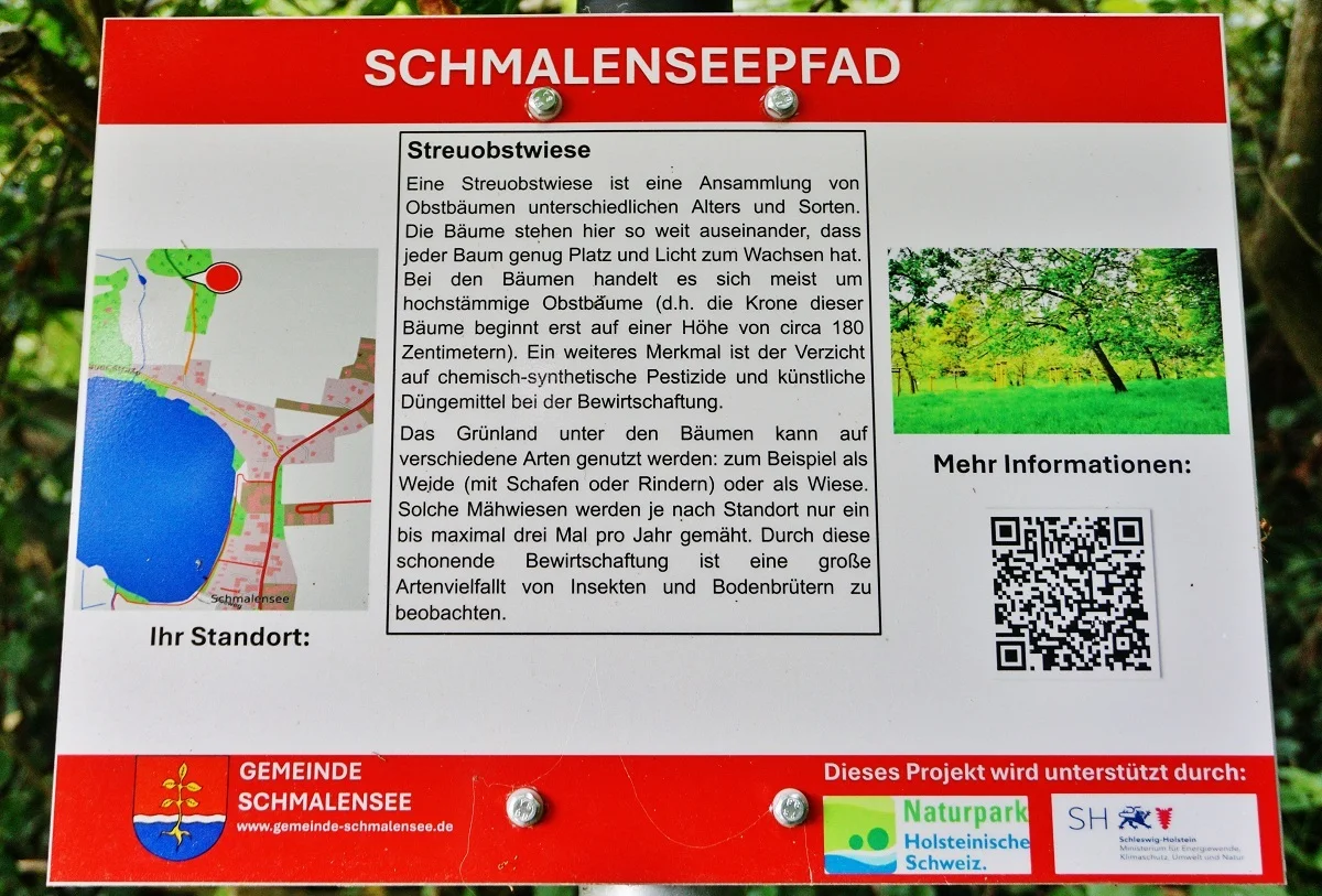 Die Streuobstwiese ist ein Insektenparadies