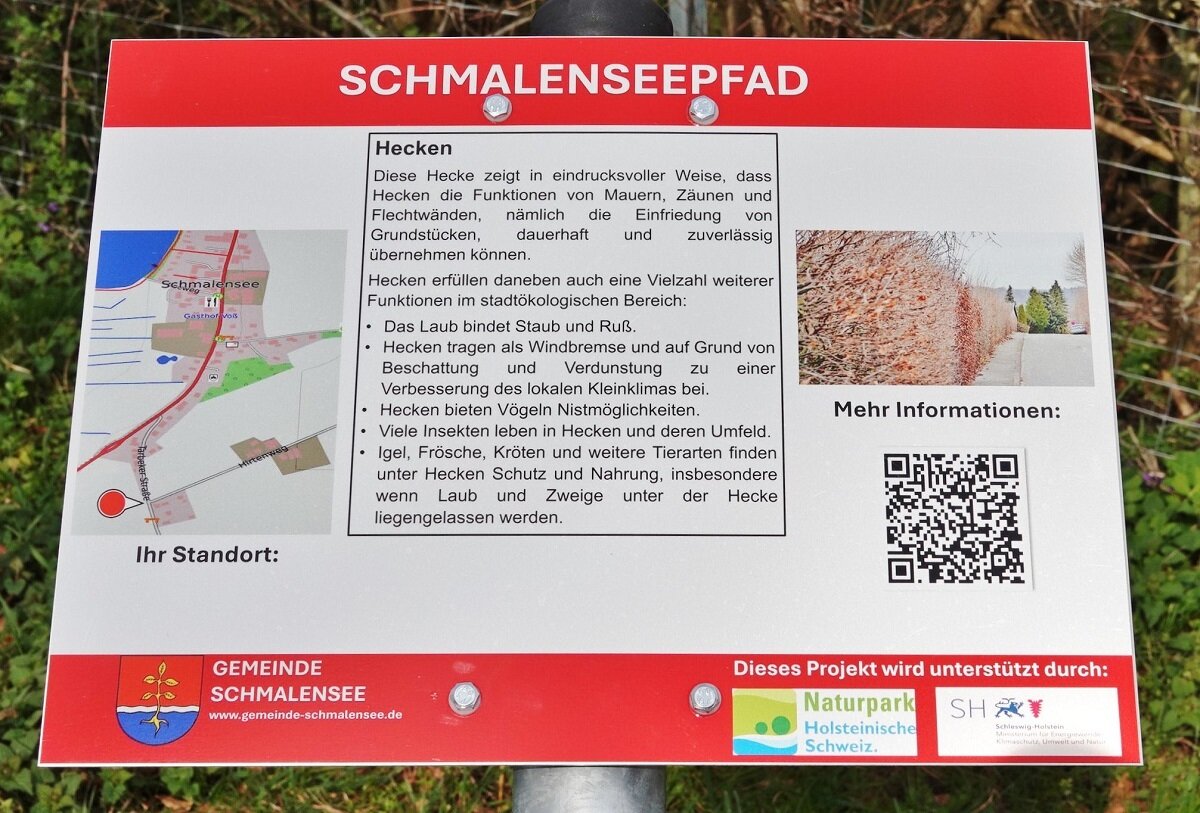Hecken sind Lebensraum für zahlreiche Tiere und Pflanzen