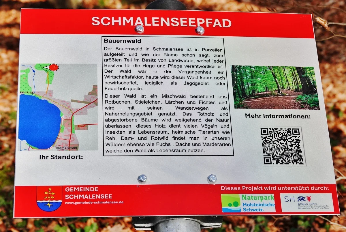 Im Bauernwald die Seele baumeln lassen