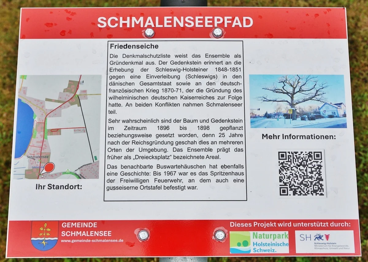 Schmalenseepfad - Friedenseiche