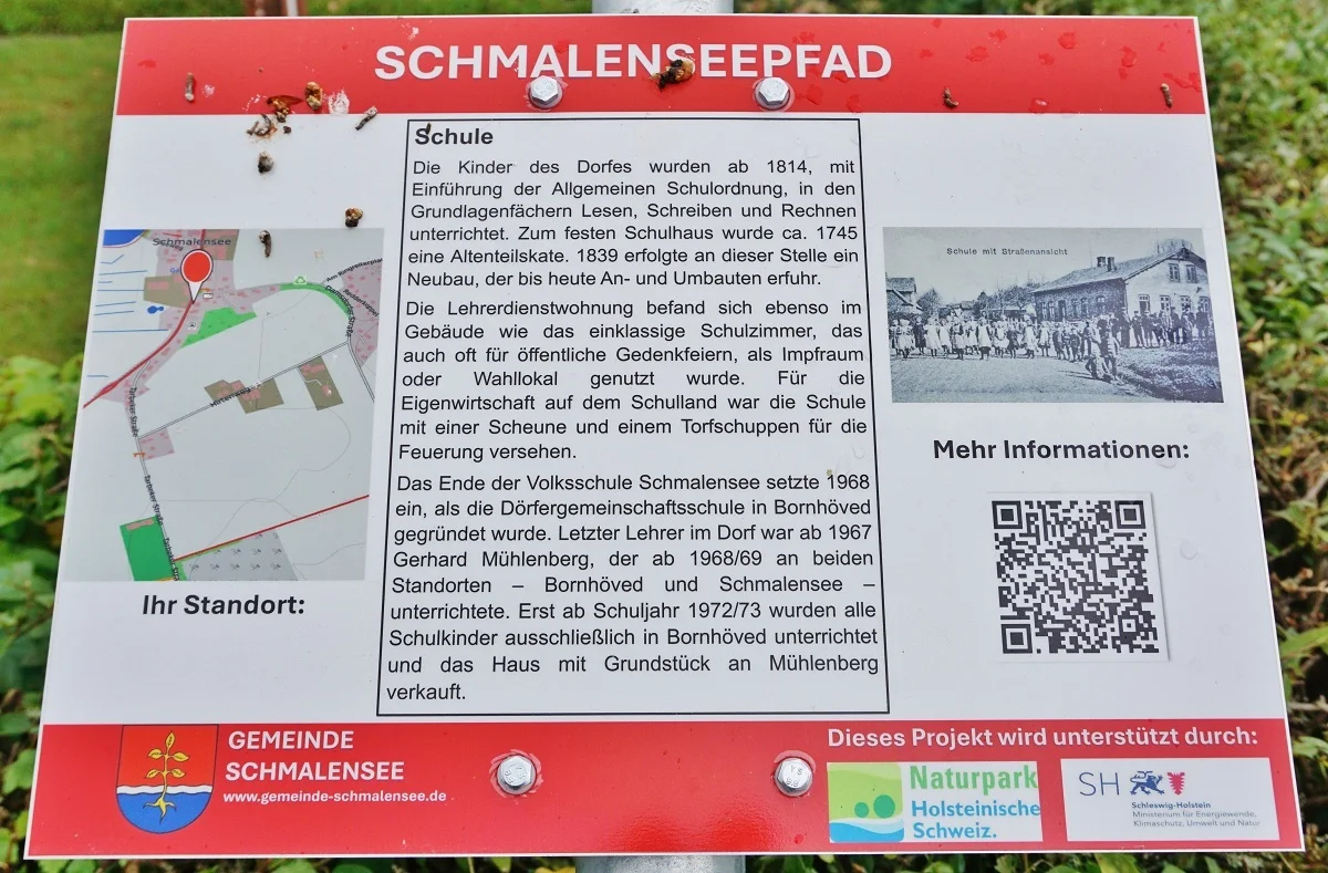 Schmalenseepfad - Schule