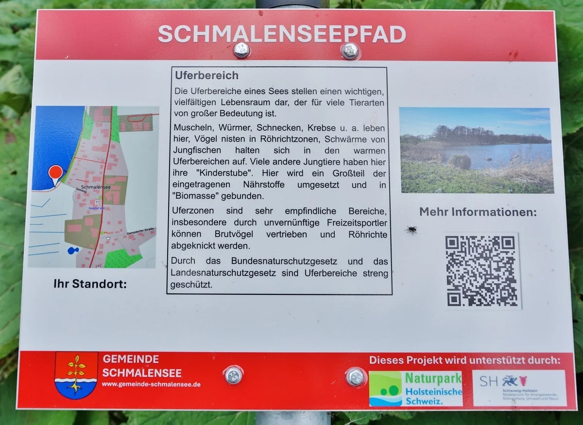 Schmalenseepfad - Uferbereich