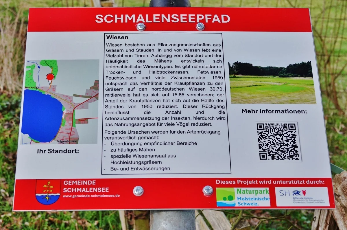 Wiesen laden zum Verweilen ein