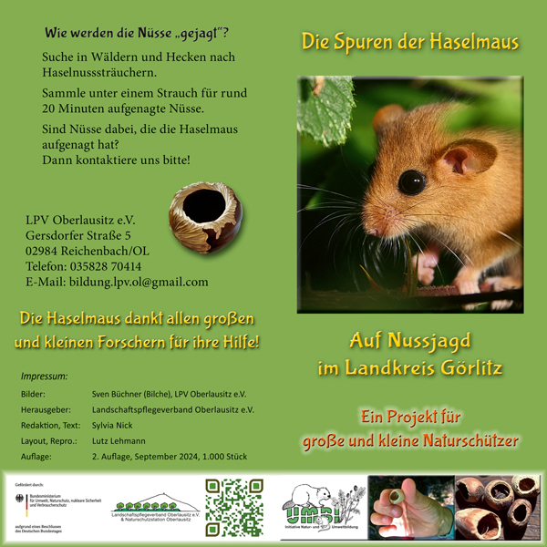 Flyer_Die-Spuren-der-Haselmaus_UMBI-2A