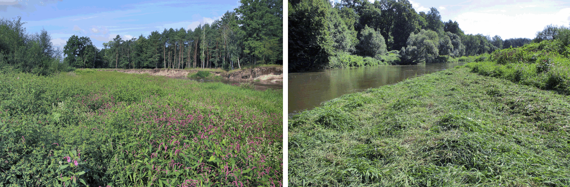 Sandbank Nieder-Neundorf