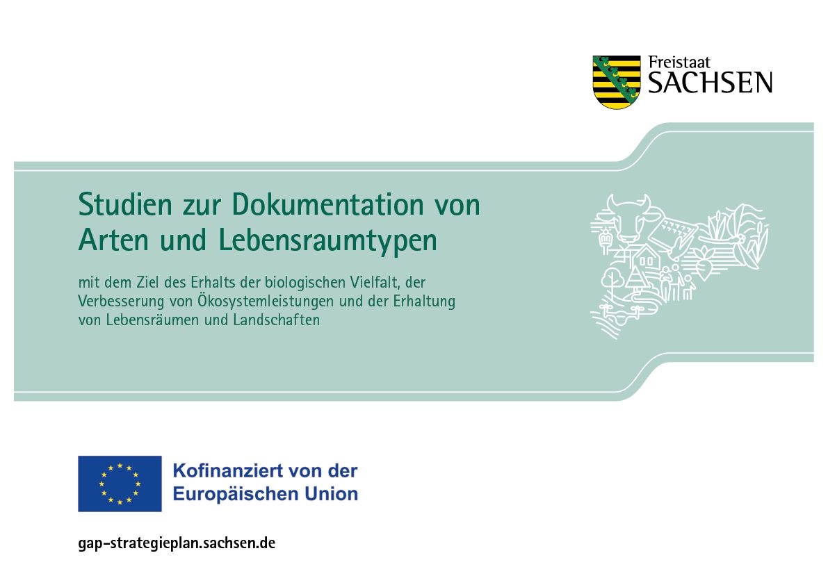 gap-strategieplan.sachsen.de_Studien