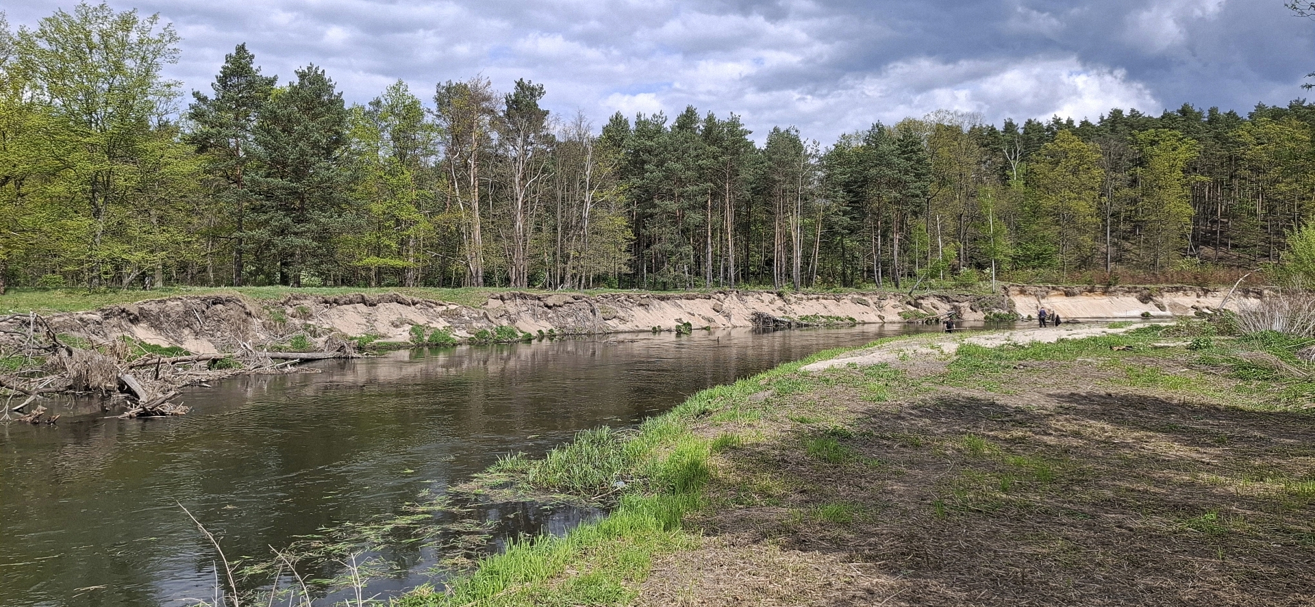 Spinnenfläche Nieder-Neundorf_1