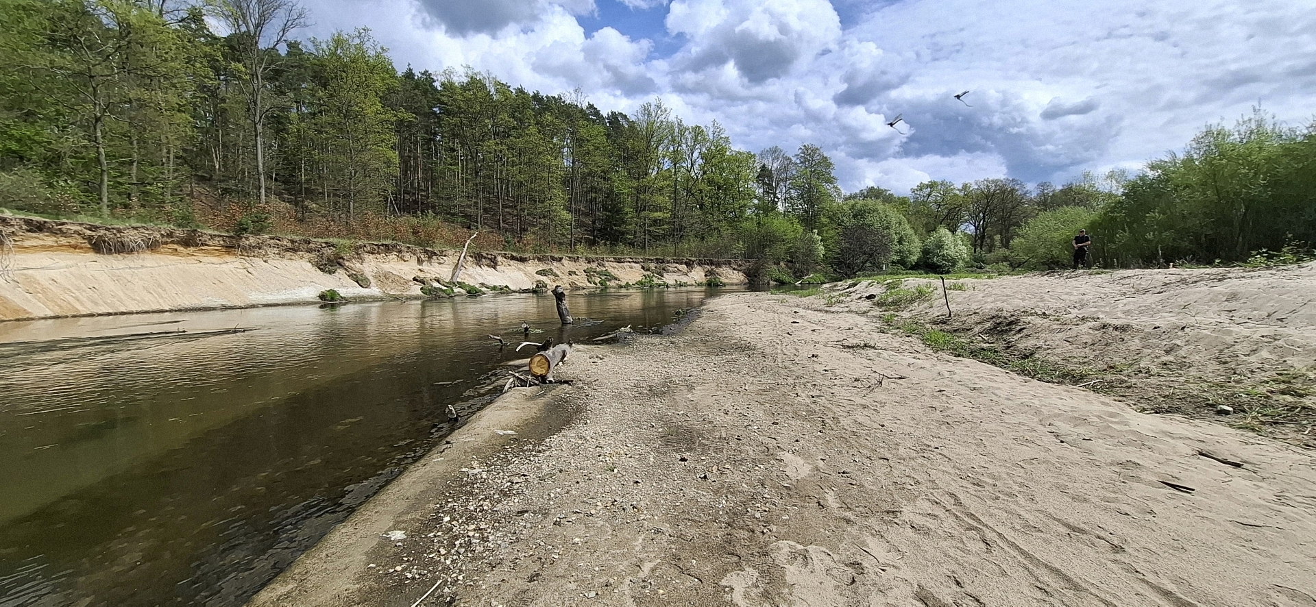 Spinnenfläche Nieder-Neundorf_2