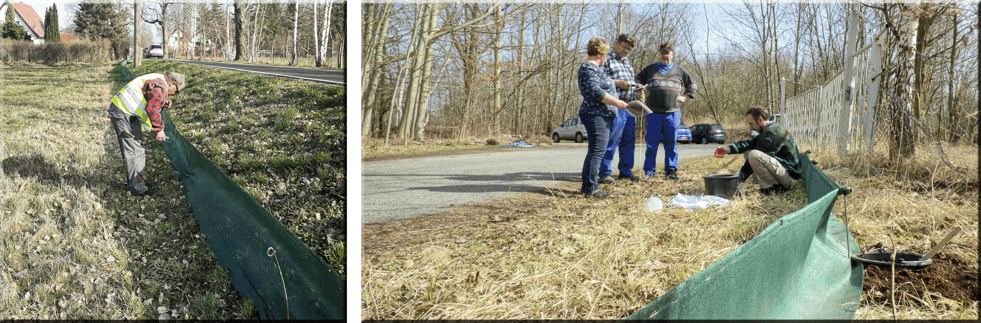 Standort 2: Klingenwalde, Ziegeleiteiche