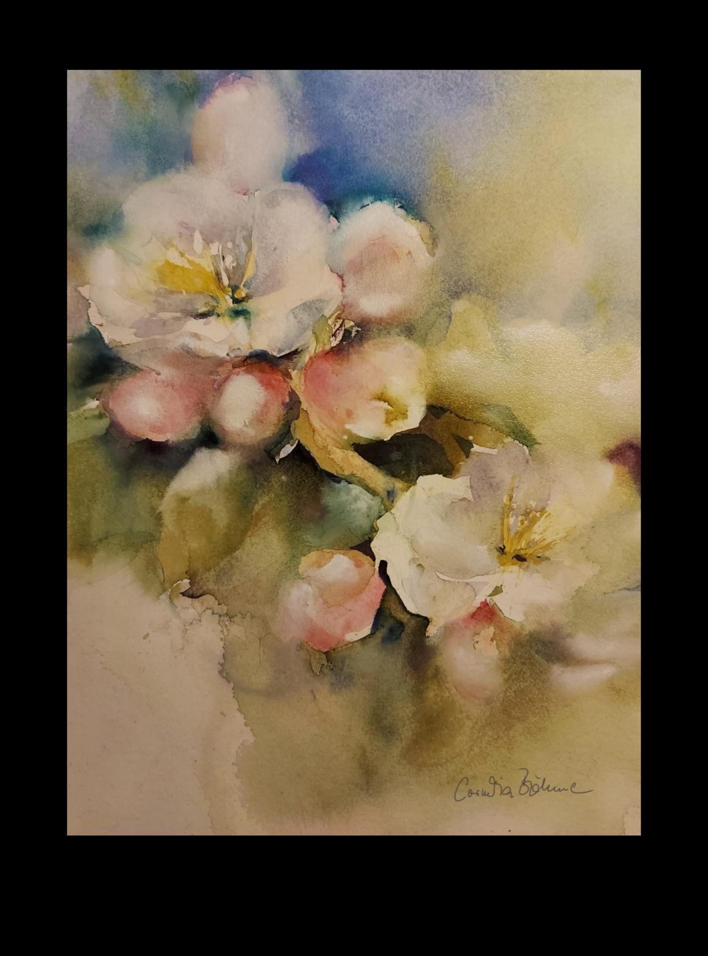 Apfelblüte II