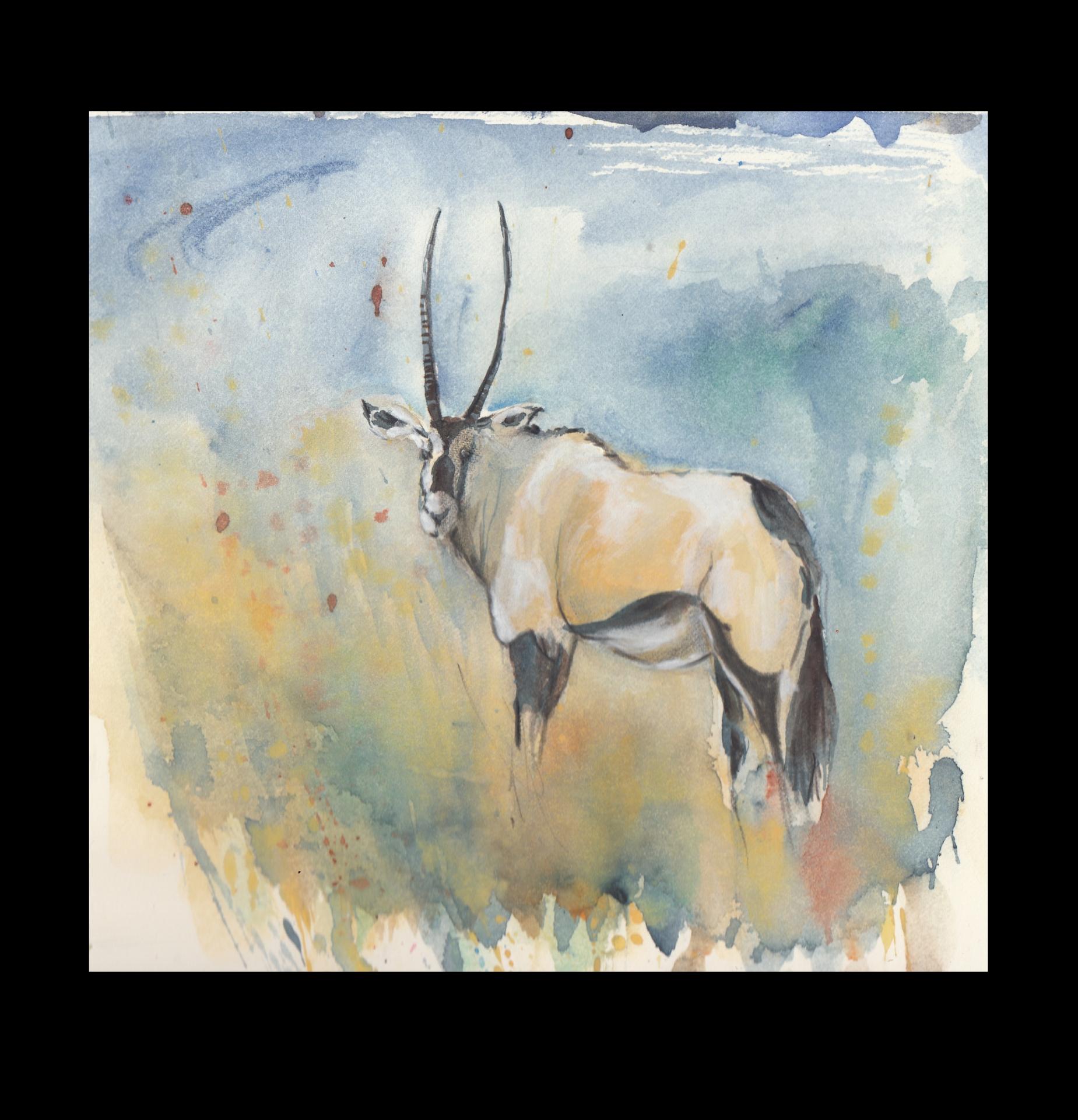 Tierstudie IV Oryx (Namibia)