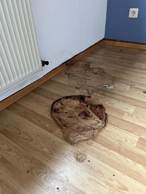 Schlafzimmer vor der Reinigung