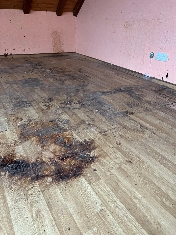 Wohnzimmer vor der Reinigung