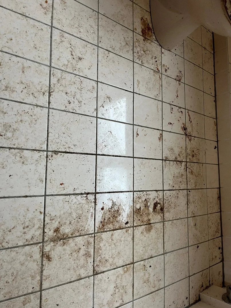 Badezimmer vor der Reinigung