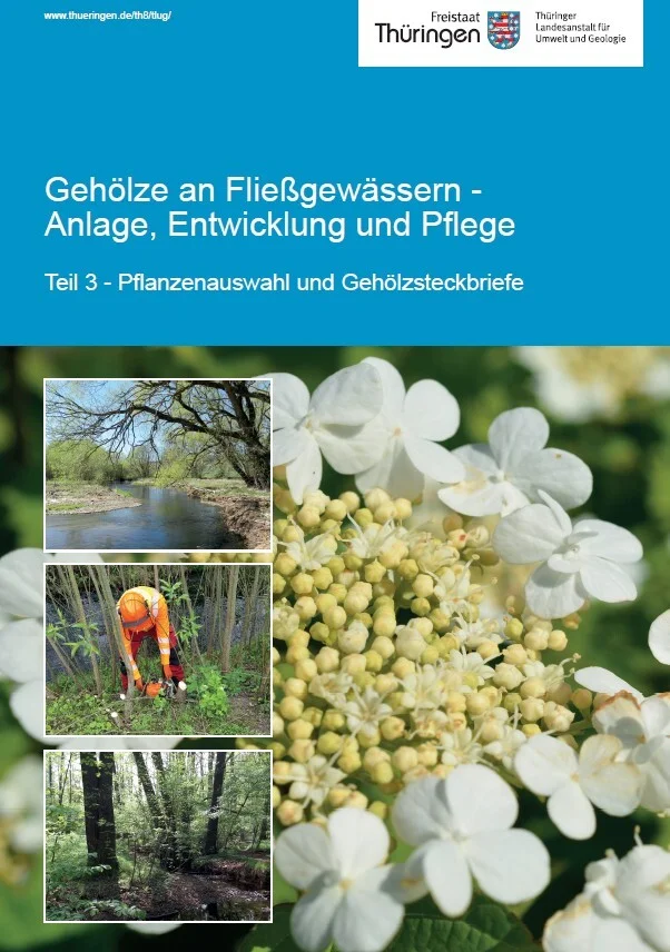 Gehölzleitfaden Teil 3
