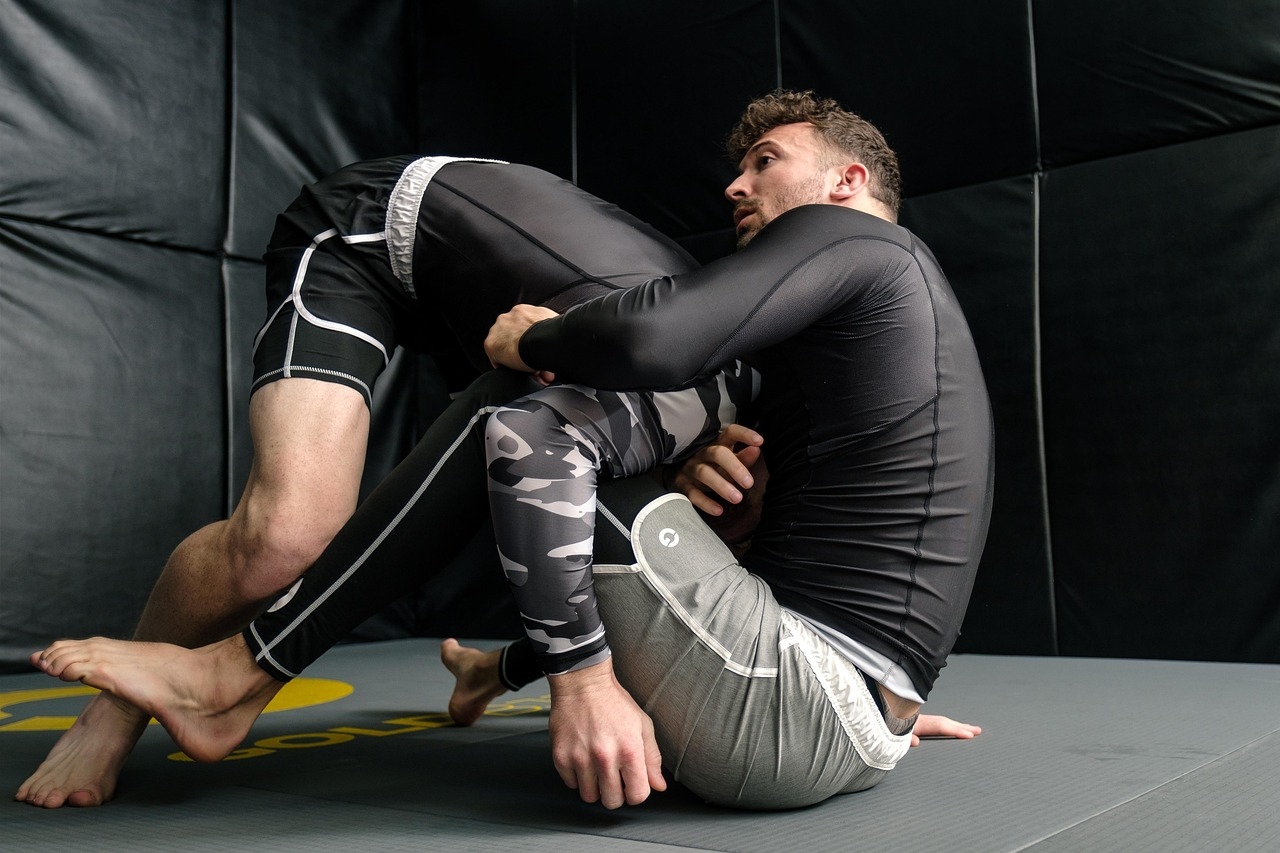 bjj-8111391_1280