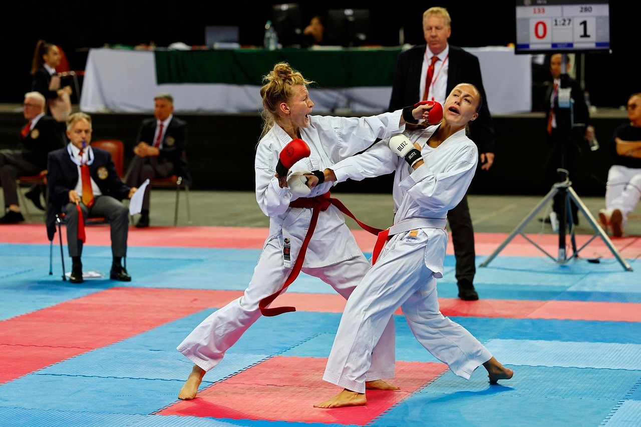 karate-7477212_1280