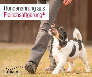 Banner-hund-rally-obedience.jpg